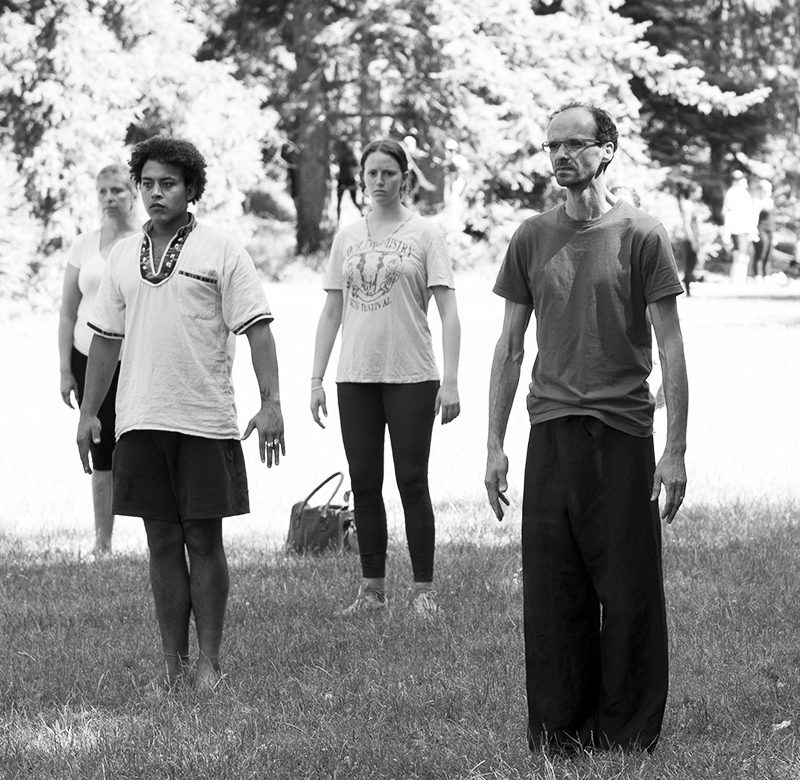 Ateliers Qi Gong en extérieur