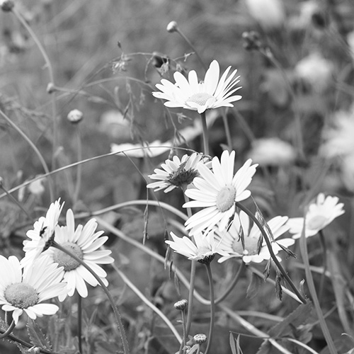 Atelier - vivre pleinement l'été